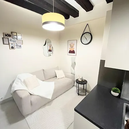 Apartment Le Marais Paris